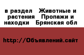  в раздел : Животные и растения » Пропажи и находки . Брянская обл.